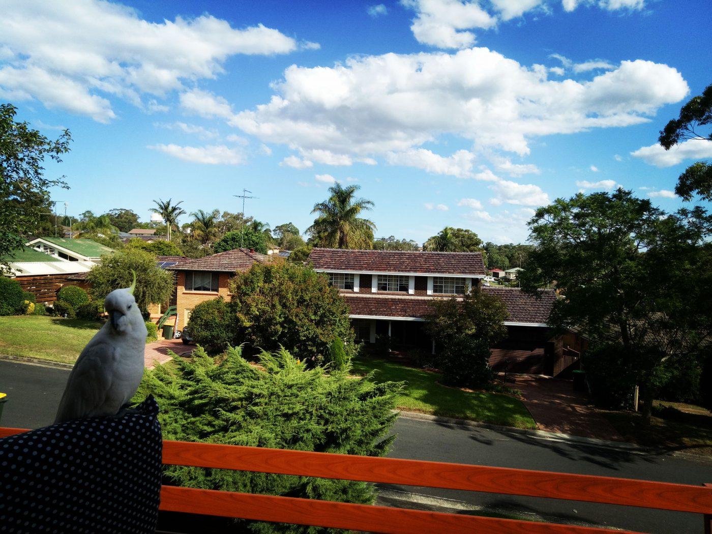 sydney home blue skies sunshine