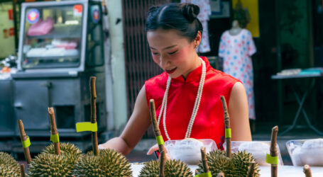 Cultural Differences: Government Influence On Business In China vs The West