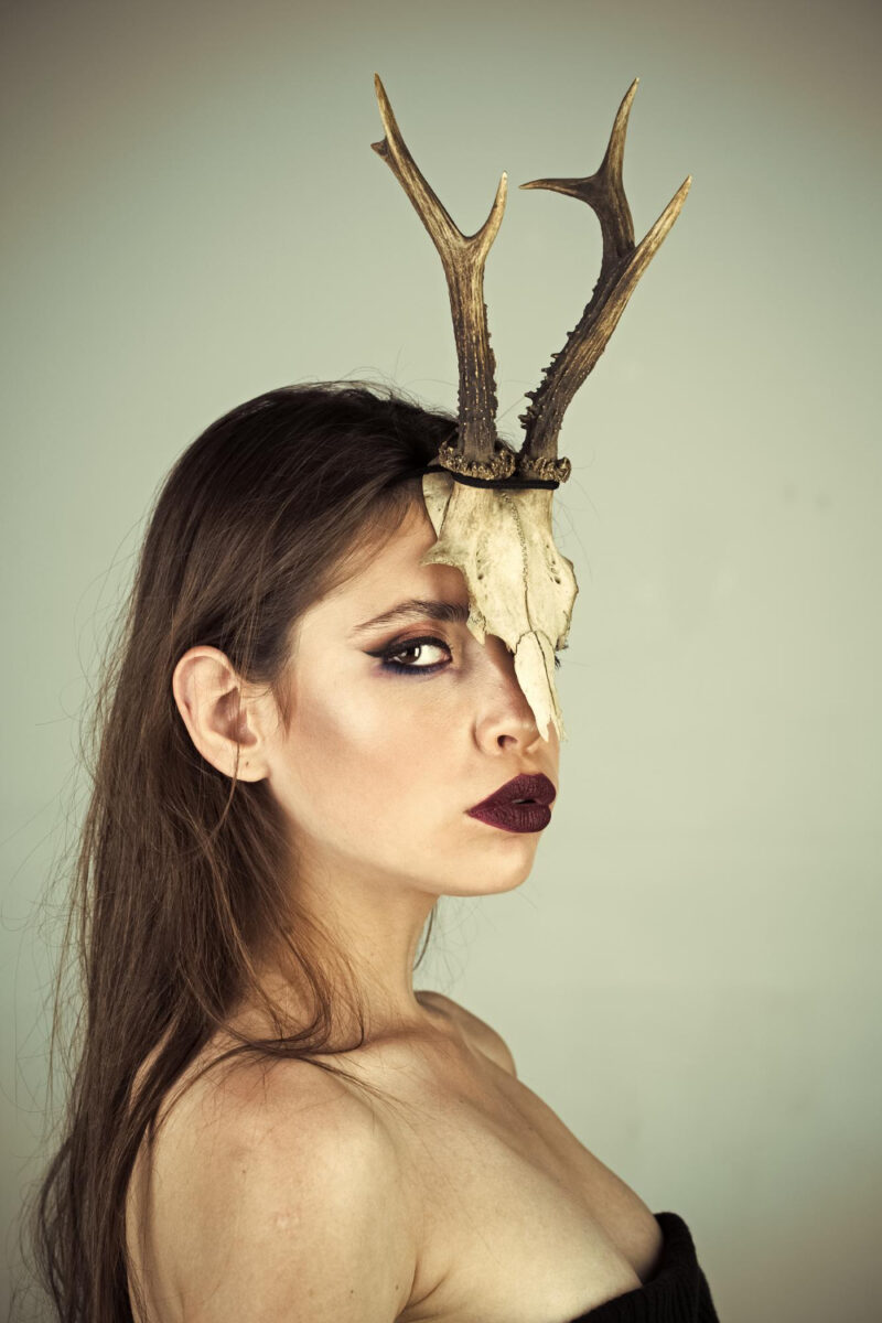 chinese horoscope goat year chinese horoscope woman ram animal skull horns lyssa
