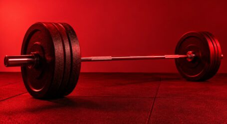Bench Press Proves I Am Back (Part 5) – Mad Chaos: February 10, 1999