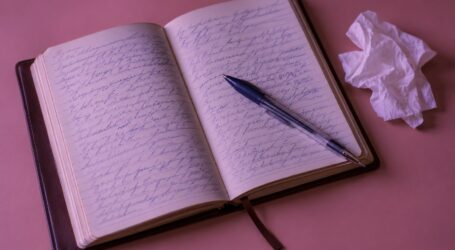 Crying Over Old Diary Pages About Lyssa (Part 3)