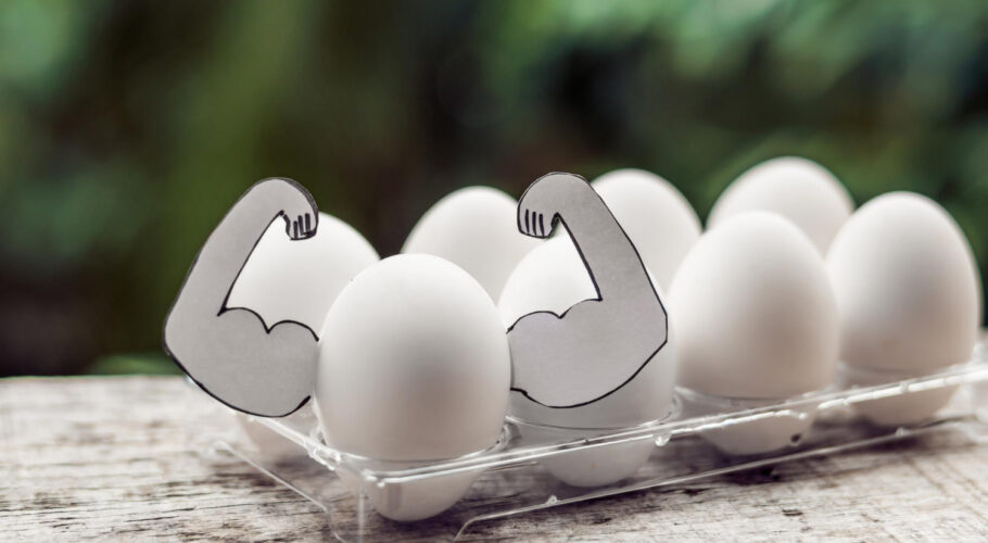 egg with muscles egg protein and sports nutrition a diet for muscle building