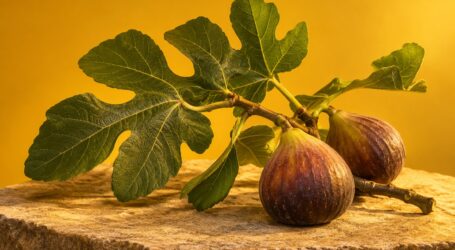 Hiding Inside My Own Fig Tree (Part 4) – Mad Chaos: March 18, 1999