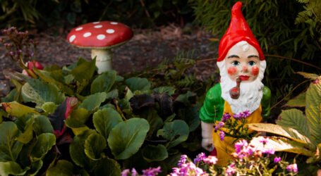 From Pizza Hut To A Gnome Kidnapping Rampage – Mad Chaos: October 29, 1996