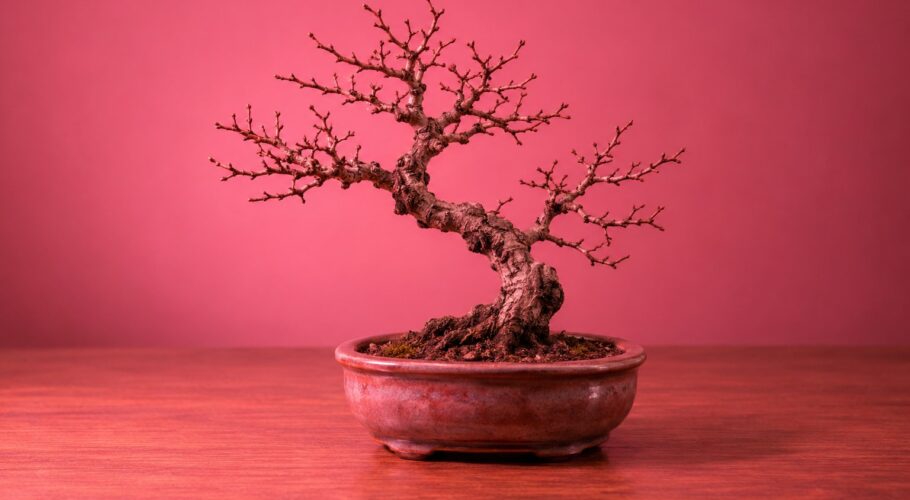 A small bare leafless bonsai tree in a ceramic pot on a wooden desk