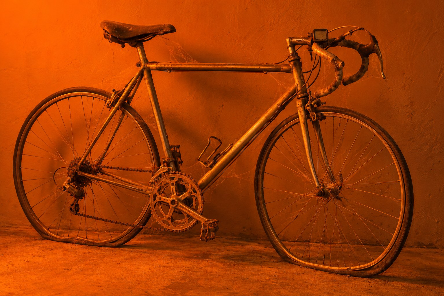 A dusty racing bicycle with a cycle computer leaning in a shed