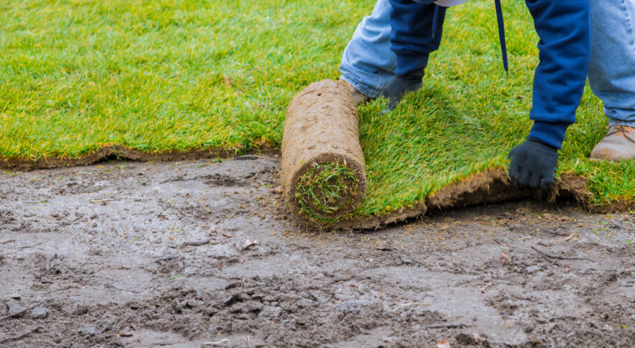 new lawn rolls fresh grass turf ready be used gardening