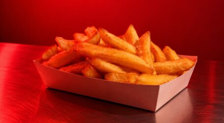 Subway Showdown Over Hot Chips (Part 2) – Mad Chaos: November 26, 1998