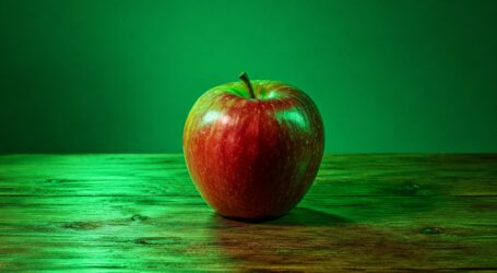Arguing With Plato Over an Apple (Part 2) – Mad Chaos: December 3, 1998