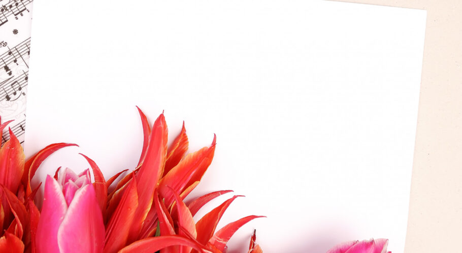 red tulips with music sheet page