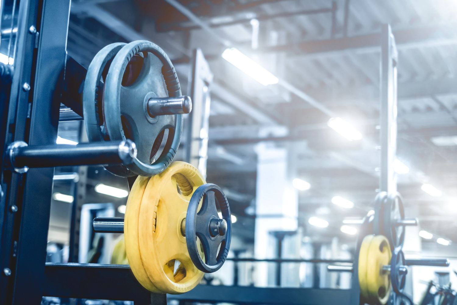 rod weights light modern athletic club bodybuilding