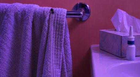 Spider In The Towel (Part 1)